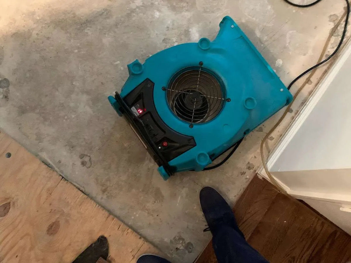 Air mover drying subfloor during Leak Detection & Repair in Milton